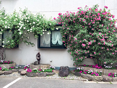 いたがねファミリークリニック駐車場